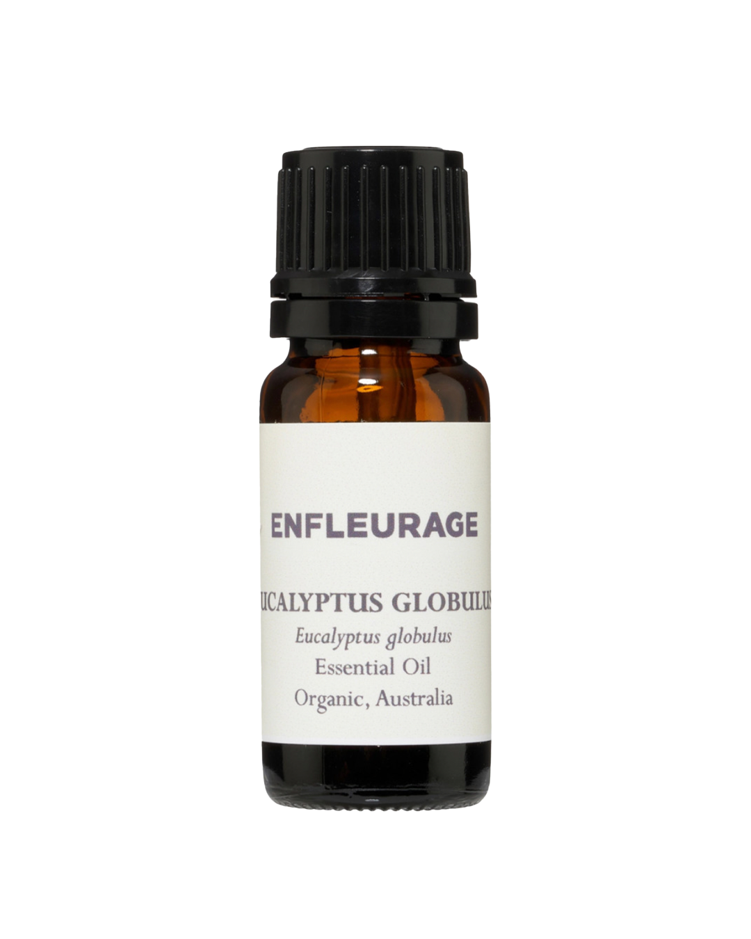Enfleurage Absolute Oil - Eucalyptus Globulus